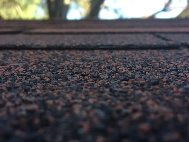 Close-up of asphalt shingle texture